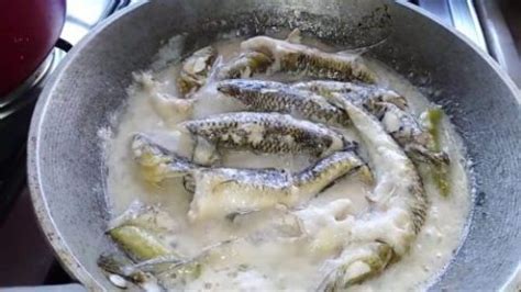 tabios fish|BIYA (Tagalog).